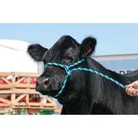 Poly Rope Cattle Halter