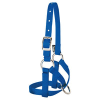 Nylon Alpaca Halter