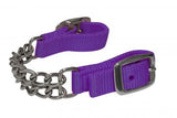 Showman Nylon Curb with Chain
