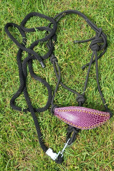 USED Rope Bronc halter & Lead