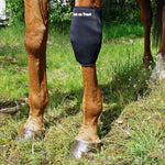 Back on Track Therapeutic Horse Knee Boots