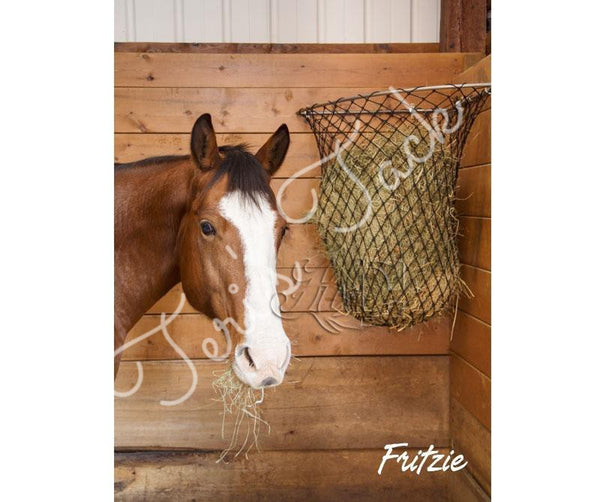 HAY CHIX® HAY RACK