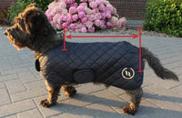 Back on Track Nights Collection - Dog Coat